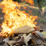 Municipal District of Acadia Valley fire and control burns